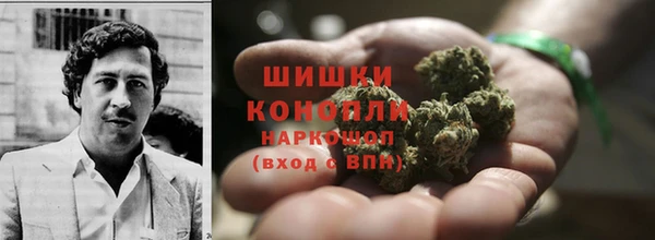 крисы Володарск