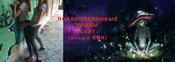 крисы Володарск