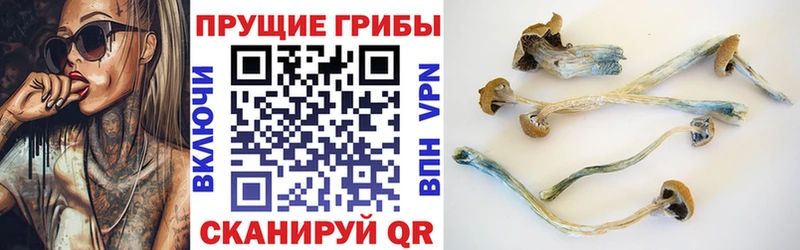 Галлюциногенные грибы прущие грибы  Купить закладки  Семикаракорск 